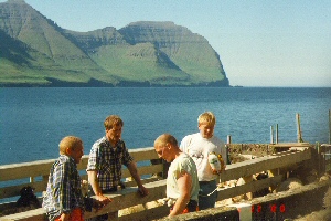 [Josias, Tummas, J�lfr��ur, Ey�un]